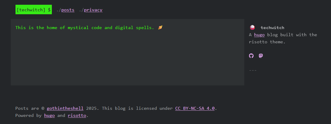 screenshot of initial Techwitch website