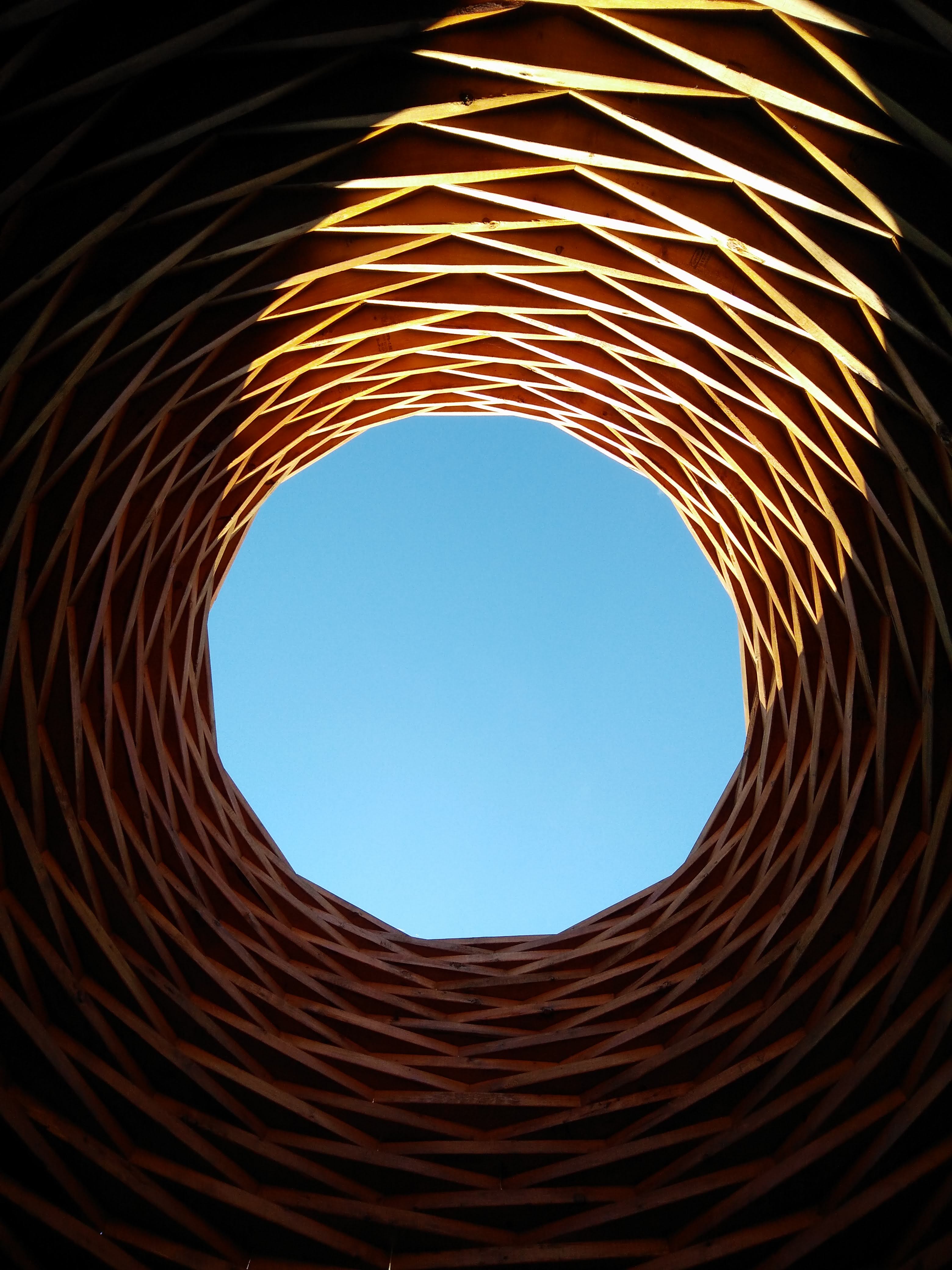 A wooden sculpture meticulously made from pine, to create a curvilinear (bounded by curved lines) contour. The photo is taken from inside the sculpture, looking up towards the clear blue sky. Sunlight is shining into the interior of the sculpture creating a contrast of light and shadows.